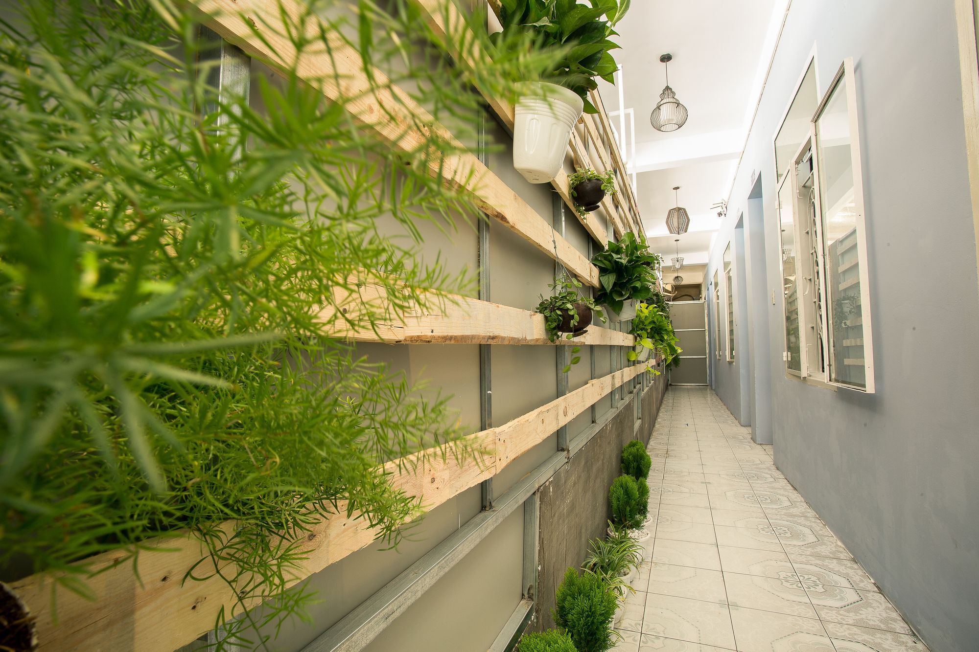 V3 Hostel Nha Trang Exterior photo